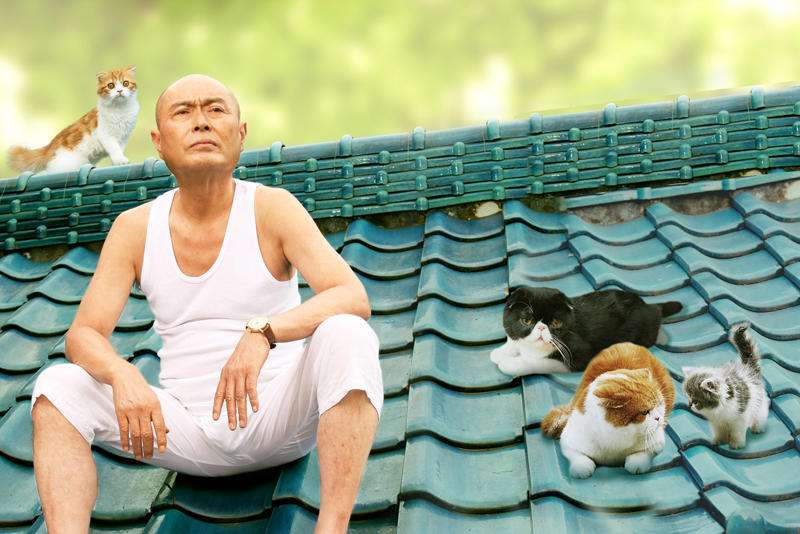 猫の出てくるオススメ映画