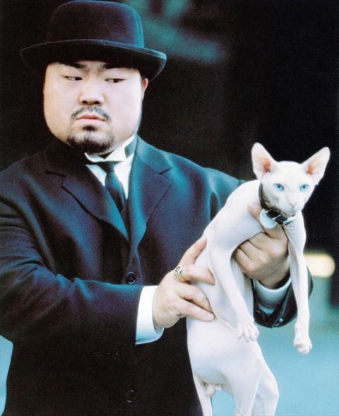 猫の出てくるオススメ映画