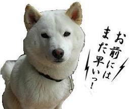 結婚を反対された人