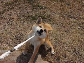 おすすめの検索キーワードは？