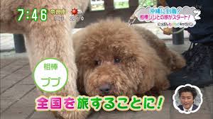芸能界って怖いと感じたこと
