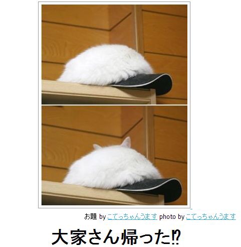 2015年初ボケてで笑いましょう！