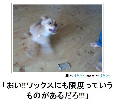 2015年初ボケてで笑いましょう！