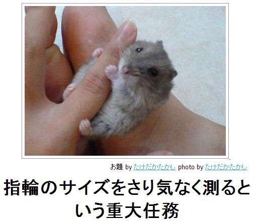 2015年初ボケてで笑いましょう！