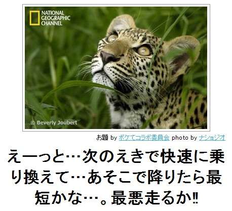 2015年初ボケてで笑いましょう！