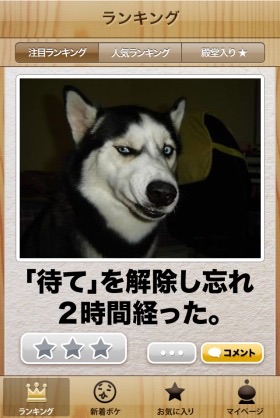 2015年初ボケてで笑いましょう！