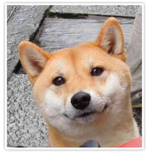 今の気持ちを画像で表すトピ