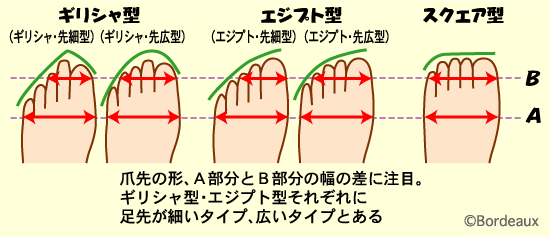 足が大きい人