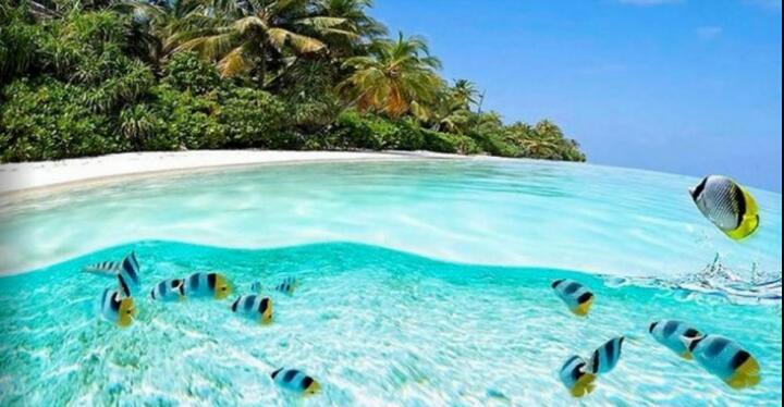 疲れている方々!海の画像で癒されませんか?
