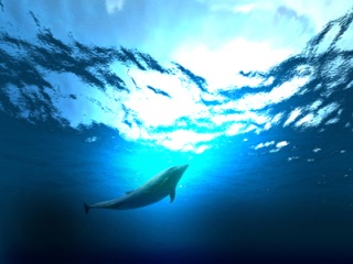 疲れている方々!海の画像で癒されませんか?
