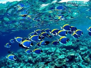疲れている方々!海の画像で癒されませんか?