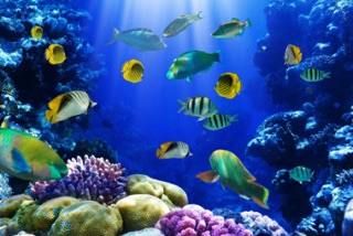 疲れている方々!海の画像で癒されませんか?