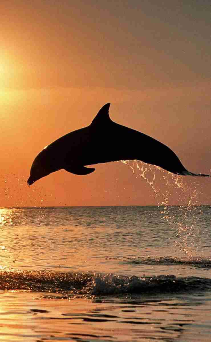 疲れている方々!海の画像で癒されませんか?
