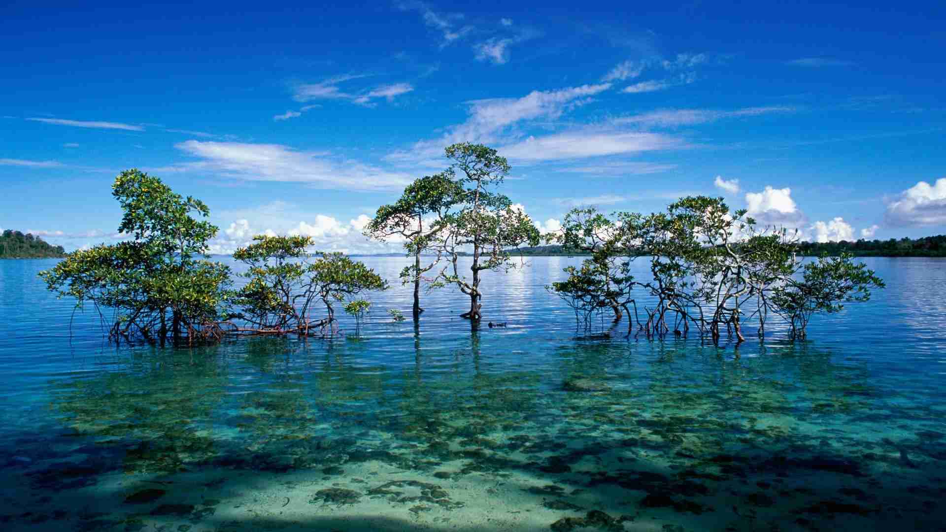 疲れている方々!海の画像で癒されませんか?