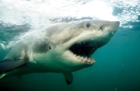 疲れている方々!海の画像で癒されませんか?