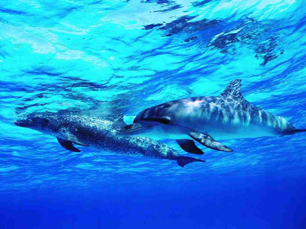 疲れている方々!海の画像で癒されませんか?