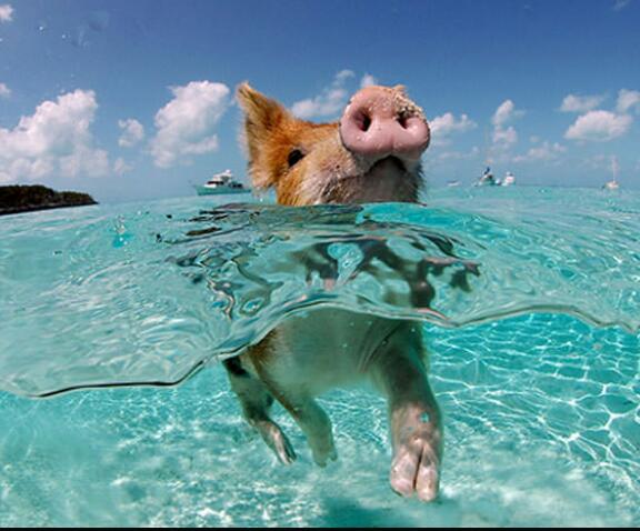 疲れている方々!海の画像で癒されませんか?