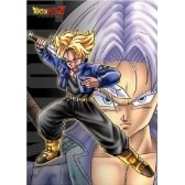 初恋のアニメキャラは？