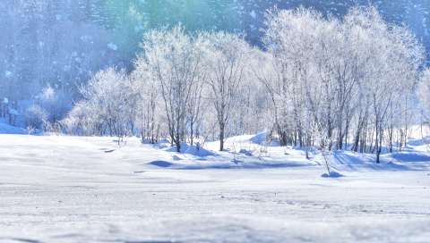 雪国、北国あるある
