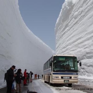 雪国、北国あるある