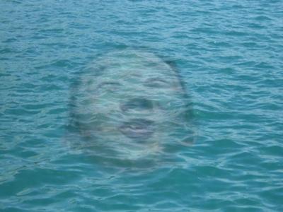 「Nのために」から抜け出せない人集合