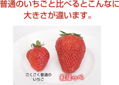 2月の目標！