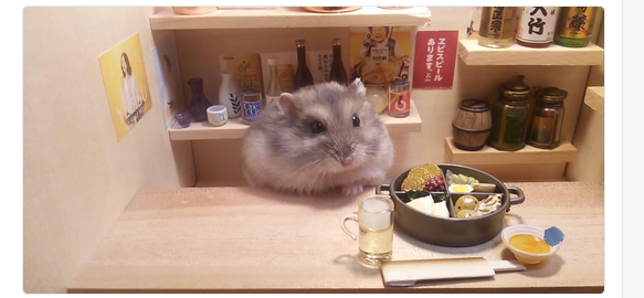 【訃報】ツイッターで人気の『居酒屋ハムスターの銀次さん』亡くなる