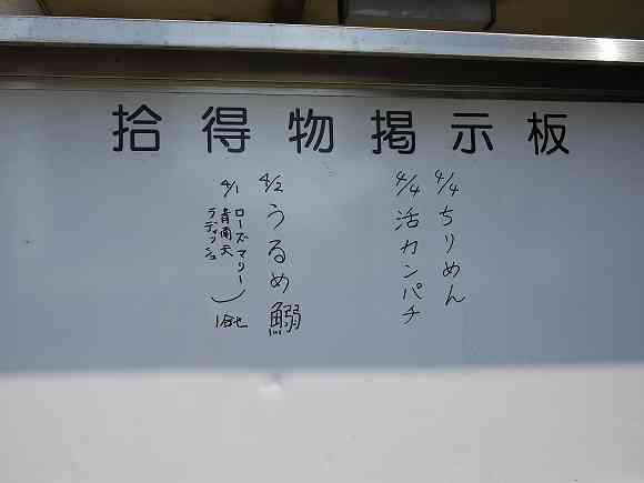 最近落としたもの