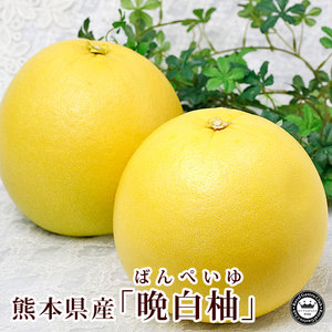 今まで頂いた美味しいお土産