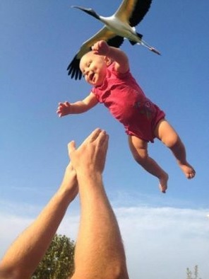 「ねぇ、赤ちゃんてどうやったらできるの？」と子供に聞かれたら何と答えますか？