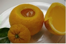 【お取り寄せ】贈答にオススメの洋菓子・和菓子