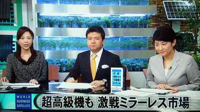 自分が芸能人だったら何のテレビに出たいですか?