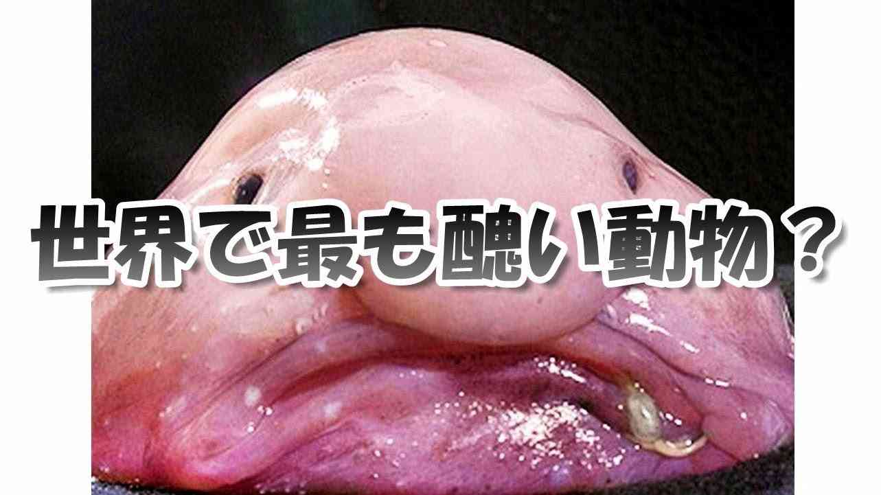 人生イージーモードな人