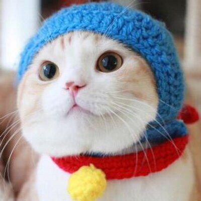 ほっこり画像かエピソードを載せよう～トピ