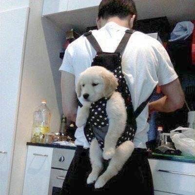 ほっこり画像かエピソードを載せよう～トピ