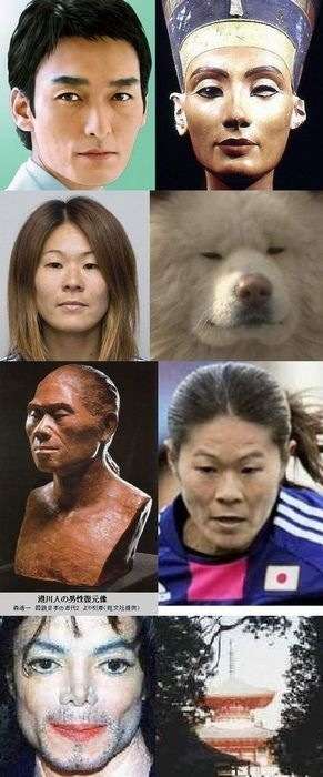 これすごく似てると思うものを貼るトピ