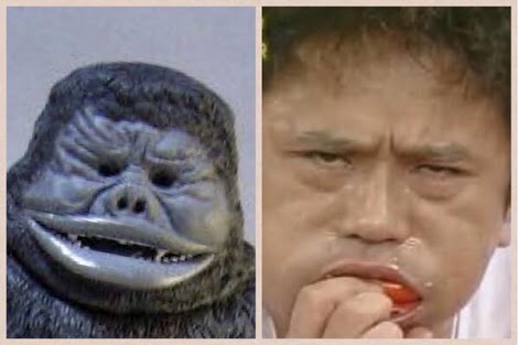 これすごく似てると思うものを貼るトピ