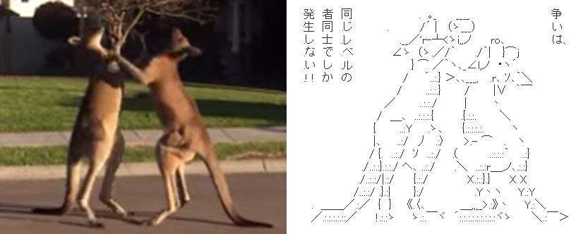 これすごく似てると思うものを貼るトピ
