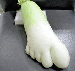 これすごく似てると思うものを貼るトピ