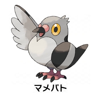 鳥が苦手な人いますか？