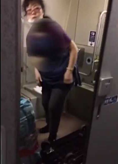 台湾の新幹線でトイレ占用した日本人とみられる女、乗務員に殴りかかる