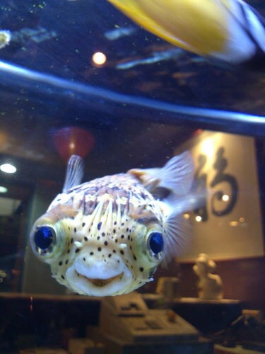 笑ってる動物の画像ください。