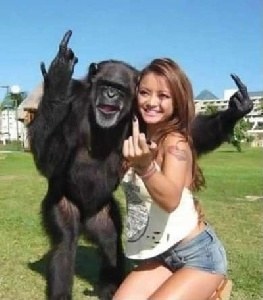 笑ってる動物の画像ください。