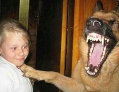 笑ってる動物の画像ください。