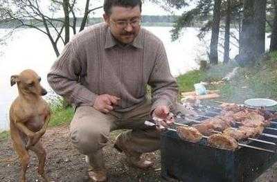 動物の人間みたいな瞬間！