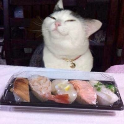 最近保存した画像載せてください!