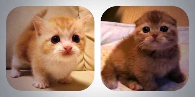 最近保存した画像載せてください!
