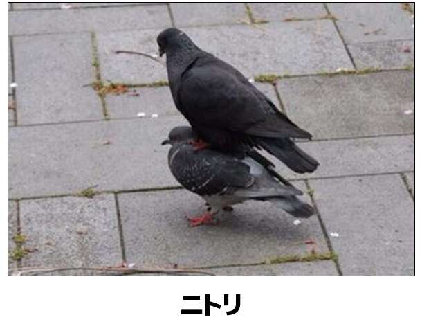 最近保存した画像載せてください!