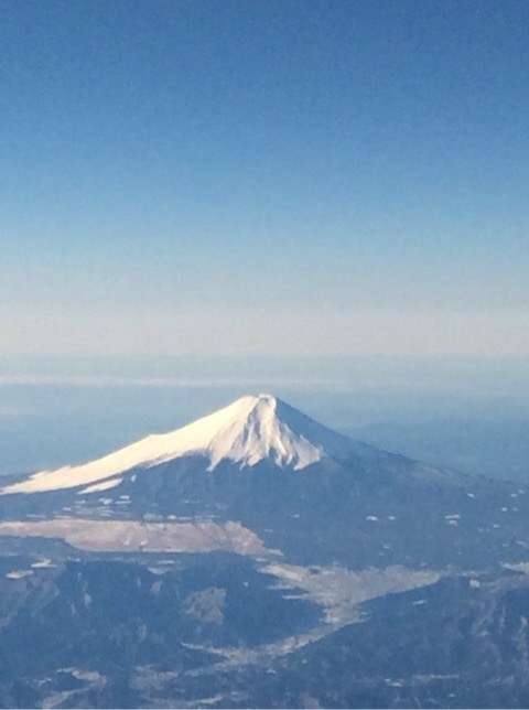 最近保存した画像載せてください!