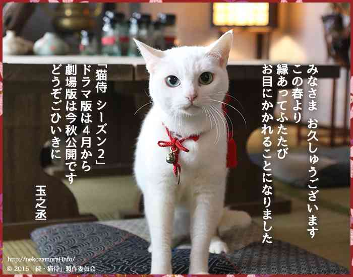 最近保存した画像載せてください!